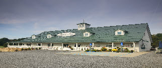 pp499fc453.jpg